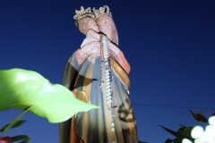 DSCF0771