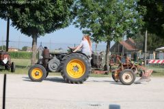 DSCF1043