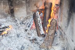 DSCF1119
