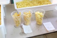DSCF1209